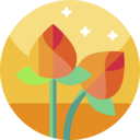 cultures,yoga,meditation,wellness,nature,oriental,botanical,chakra,hinduism,blossom,lotus flower,buddha